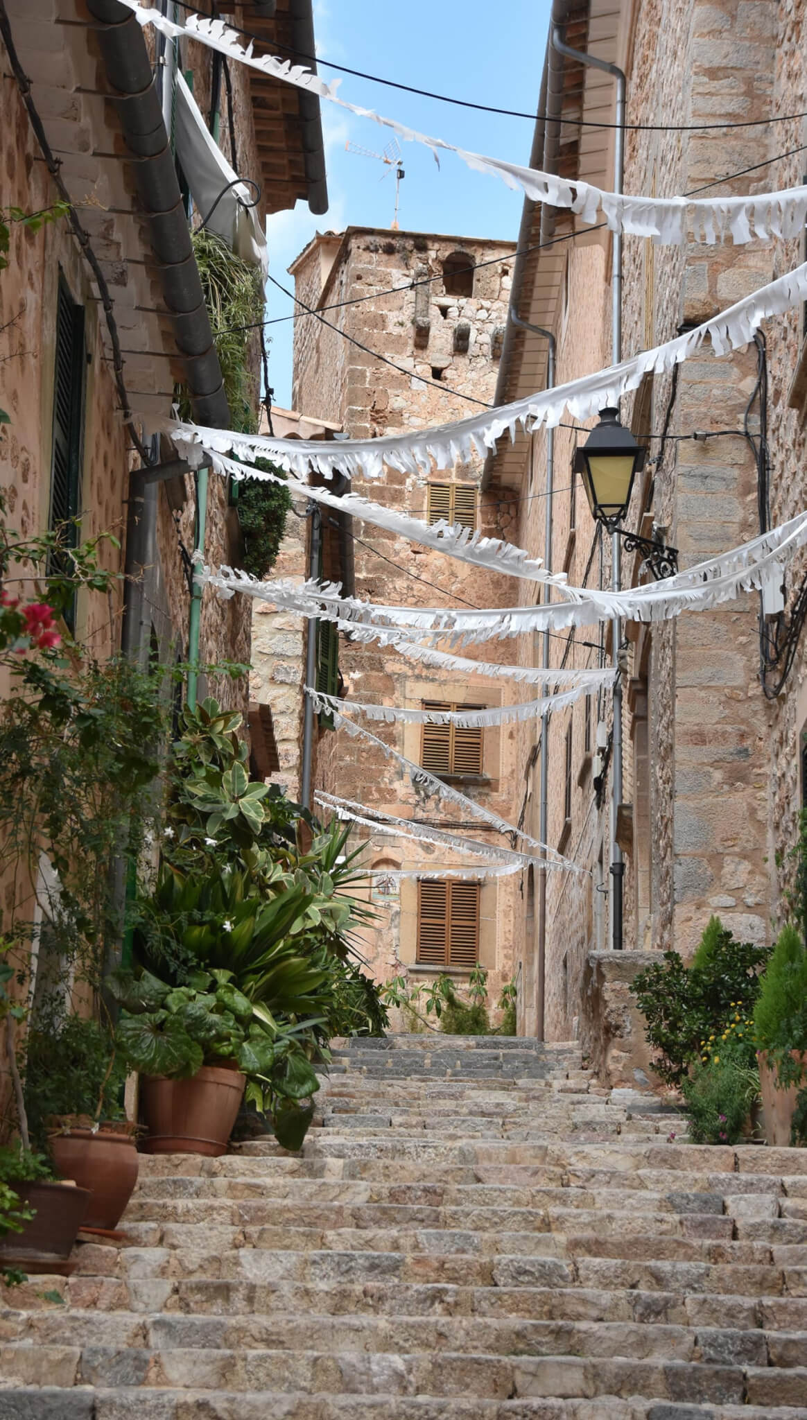 Gold & Staub Fotografie & Graffiti | Kontaktanfrage